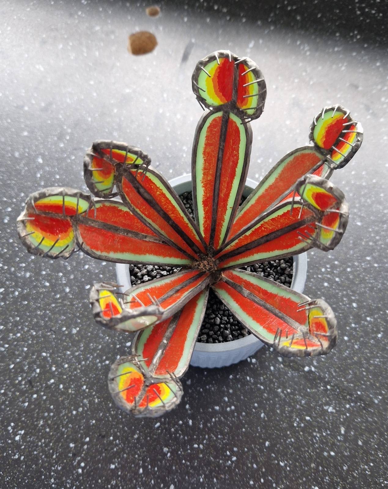 Stained Glass Art 3D